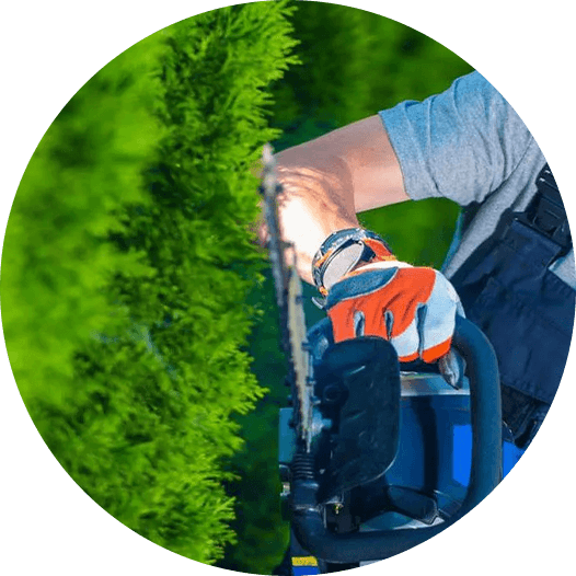 Garden maintenance